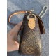 LOUIS VUITTON The Ivy Wallet on Chain Bag