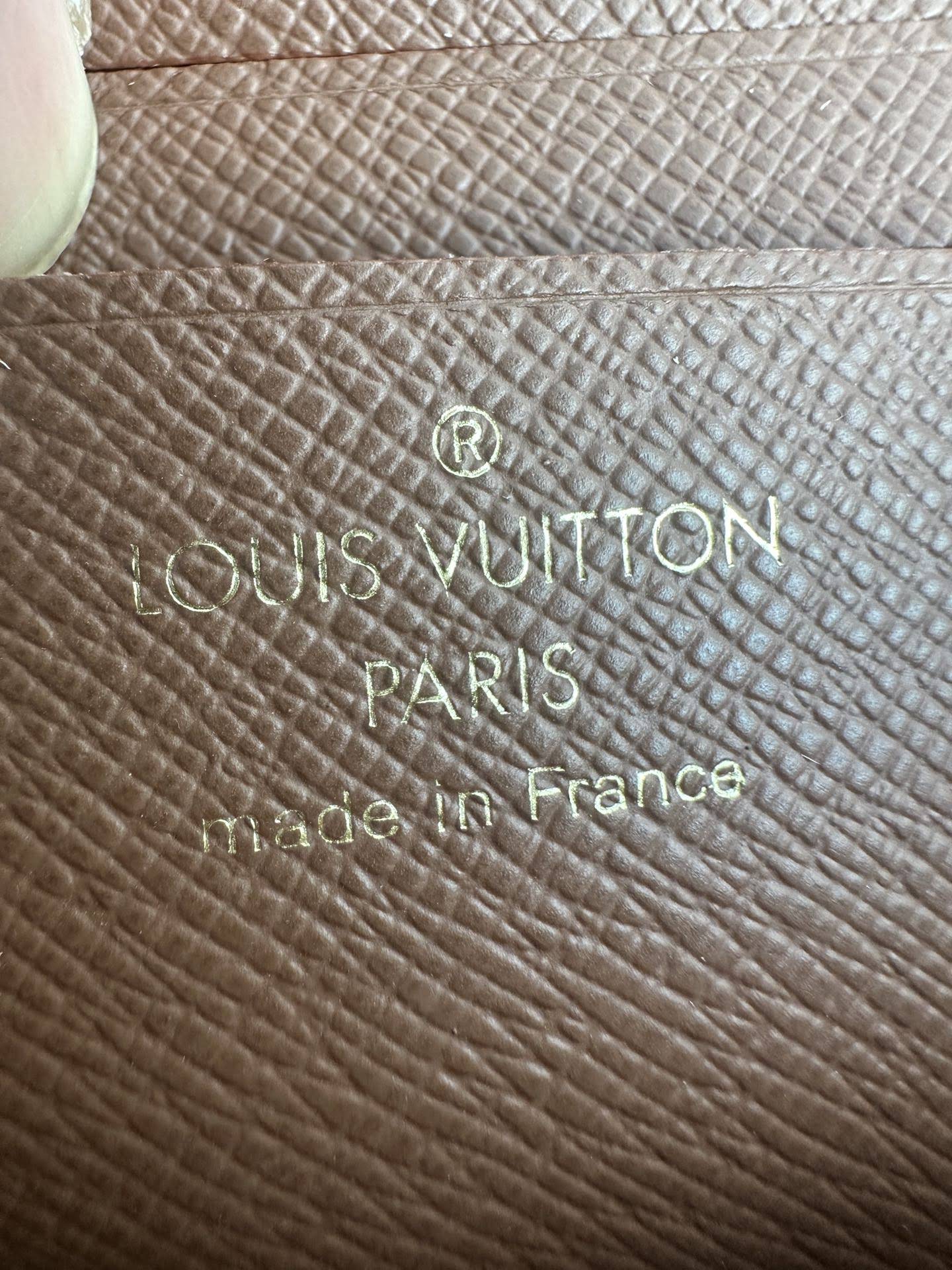 LOUIS VUITTON The Ivy Wallet on Chain Bag