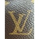 LOUIS VUITTON The Ivy Wallet on Chain Bag