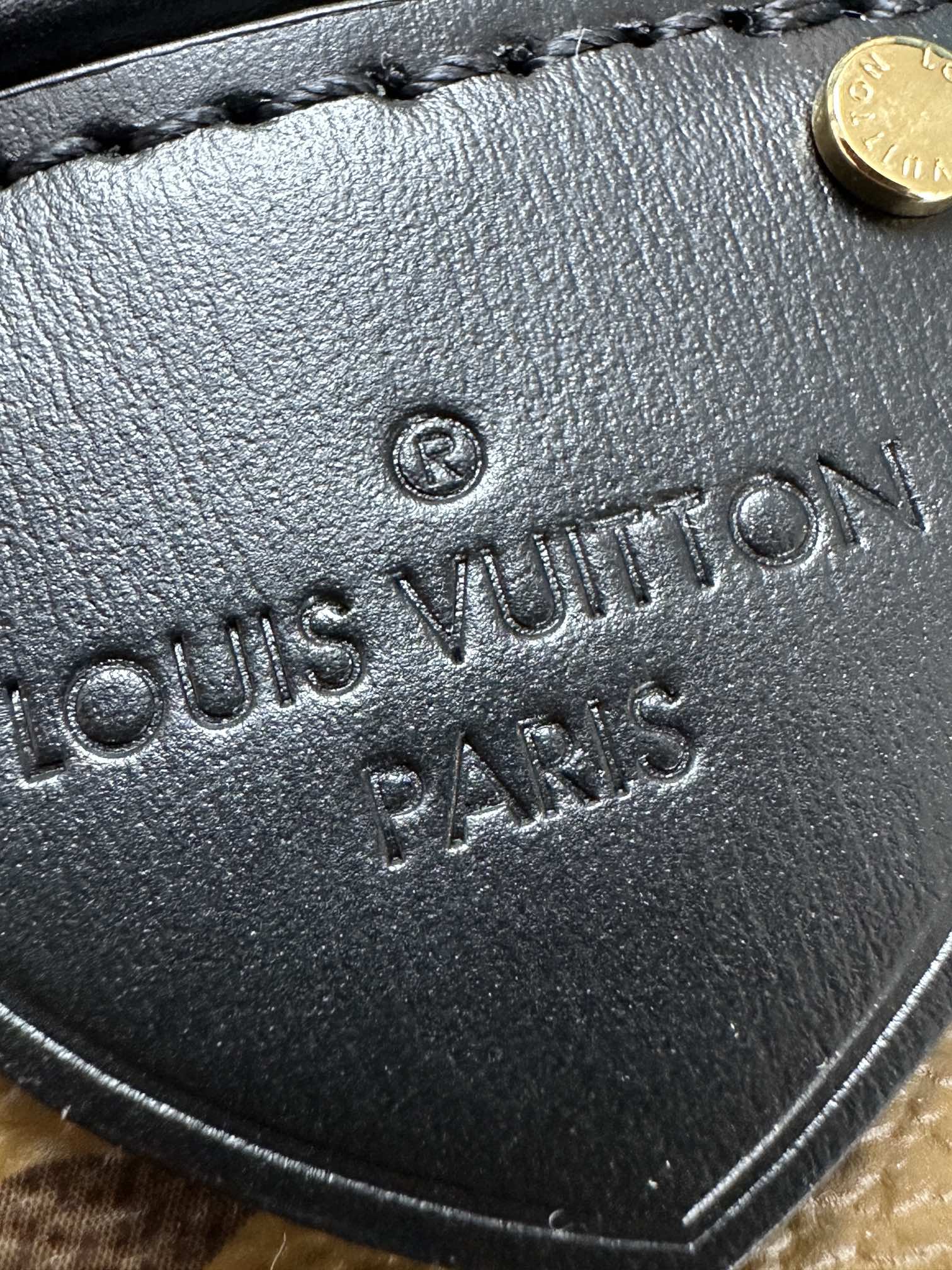 LOUIS VUITTON The Cannes Bag