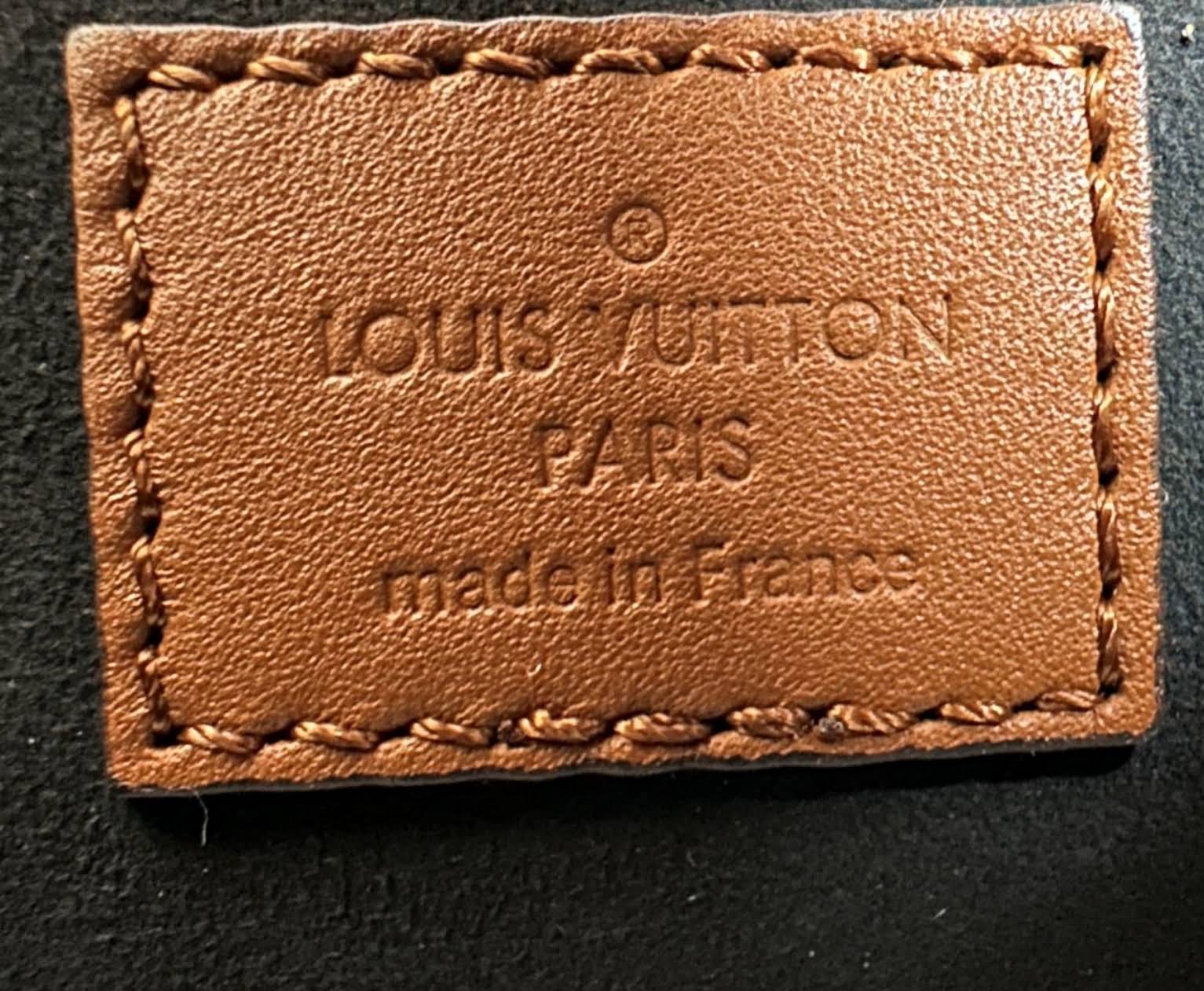 LOUIS VUITTON The Dauphine Mini Bag