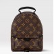 LOUIS VUITTON Palm Springs Mini Backpack