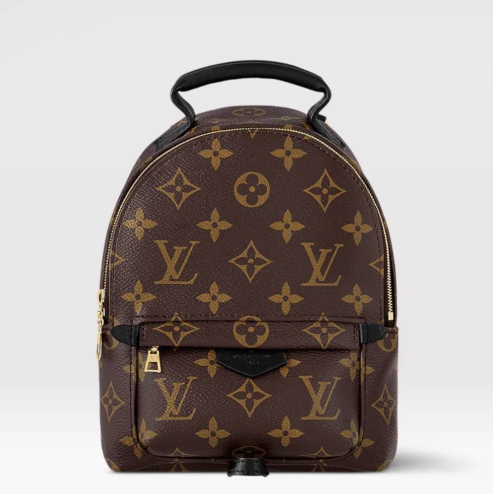 LOUIS VUITTON Palm Springs Mini Backpack