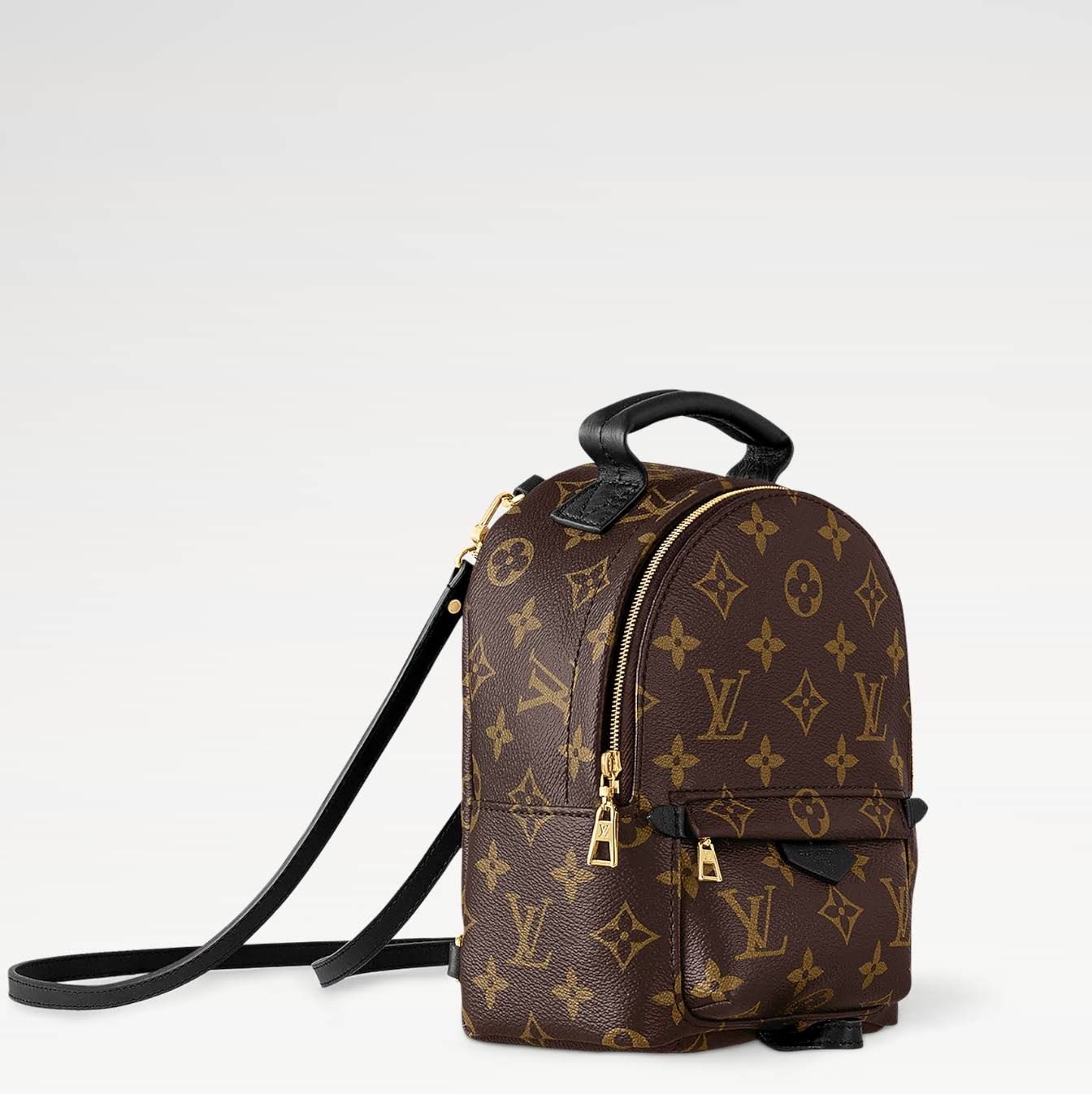 LOUIS VUITTON Palm Springs Mini Backpack