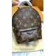 LOUIS VUITTON Palm Springs Mini Backpack