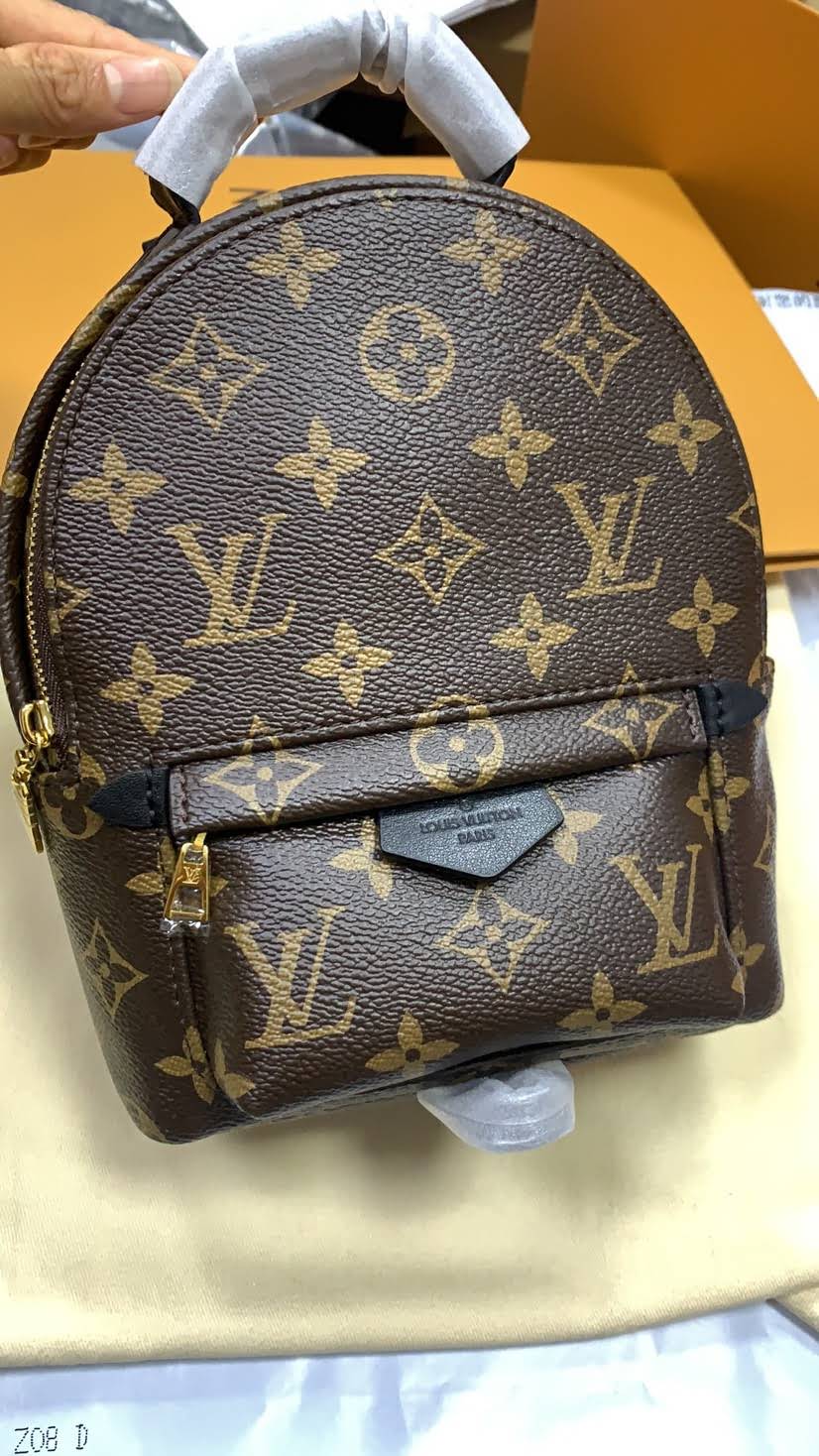 LOUIS VUITTON Palm Springs Mini Backpack