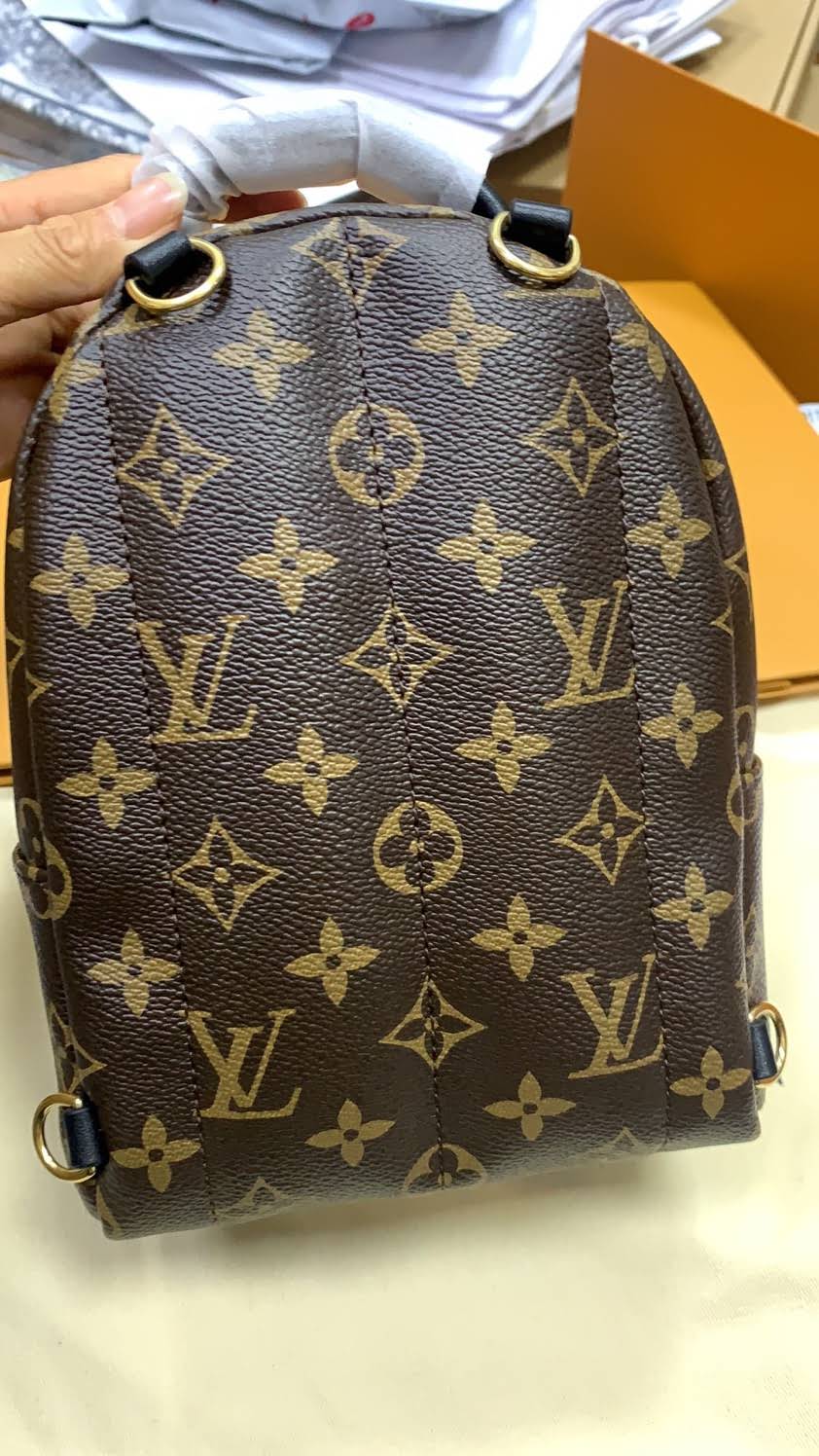 LOUIS VUITTON Palm Springs Mini Backpack