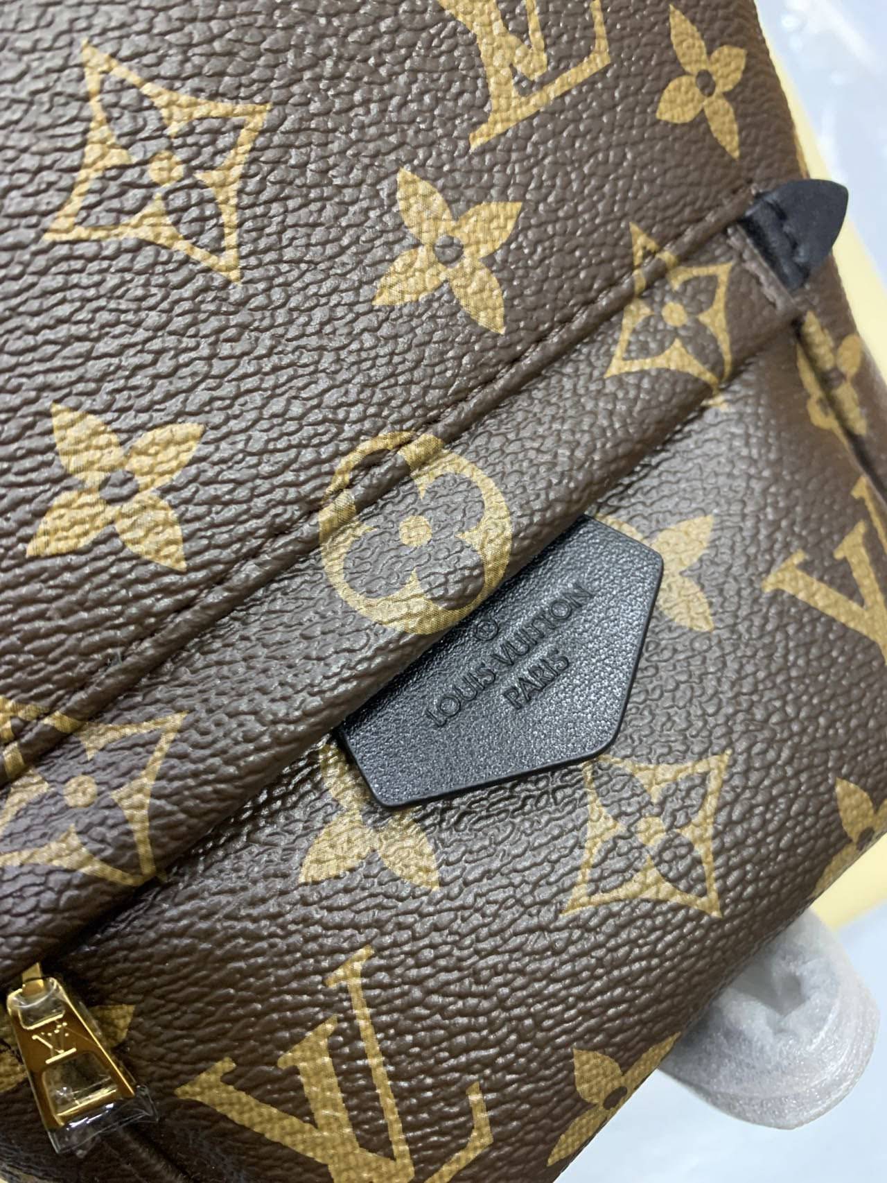 LOUIS VUITTON Palm Springs Mini Backpack