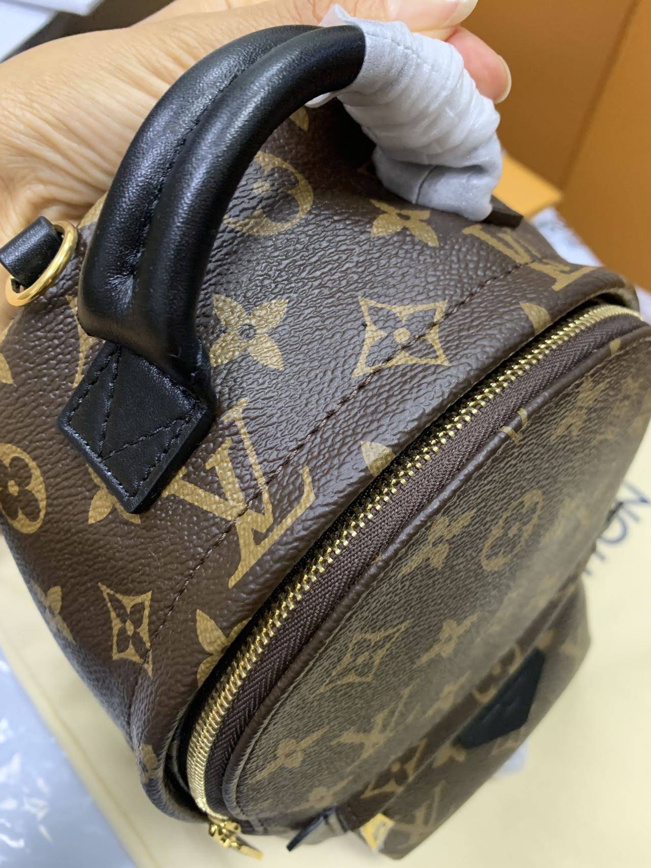 LOUIS VUITTON Palm Springs Mini Backpack