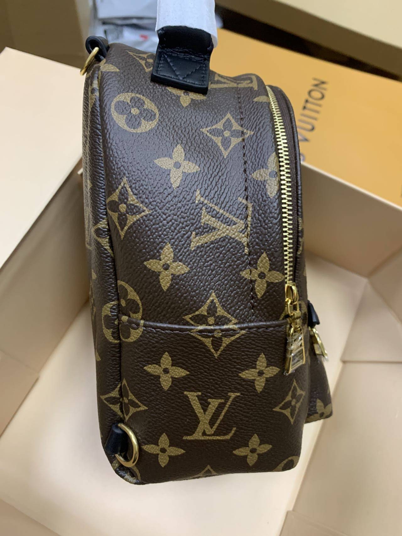 LOUIS VUITTON Palm Springs Mini Backpack