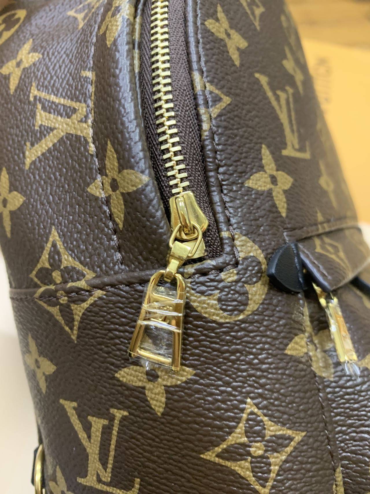 LOUIS VUITTON Palm Springs Mini Backpack