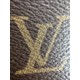 LOUIS VUITTON The Boulogne Bag (Black)